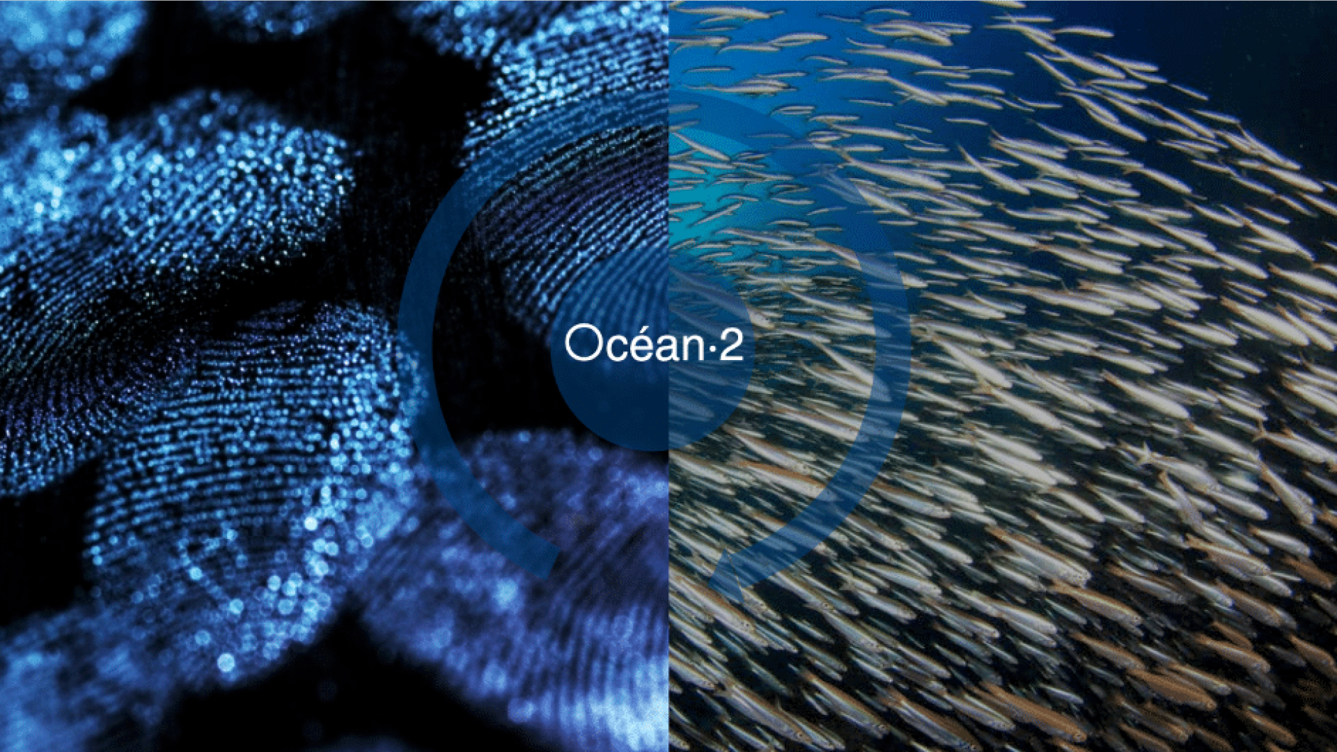 Ocean 2