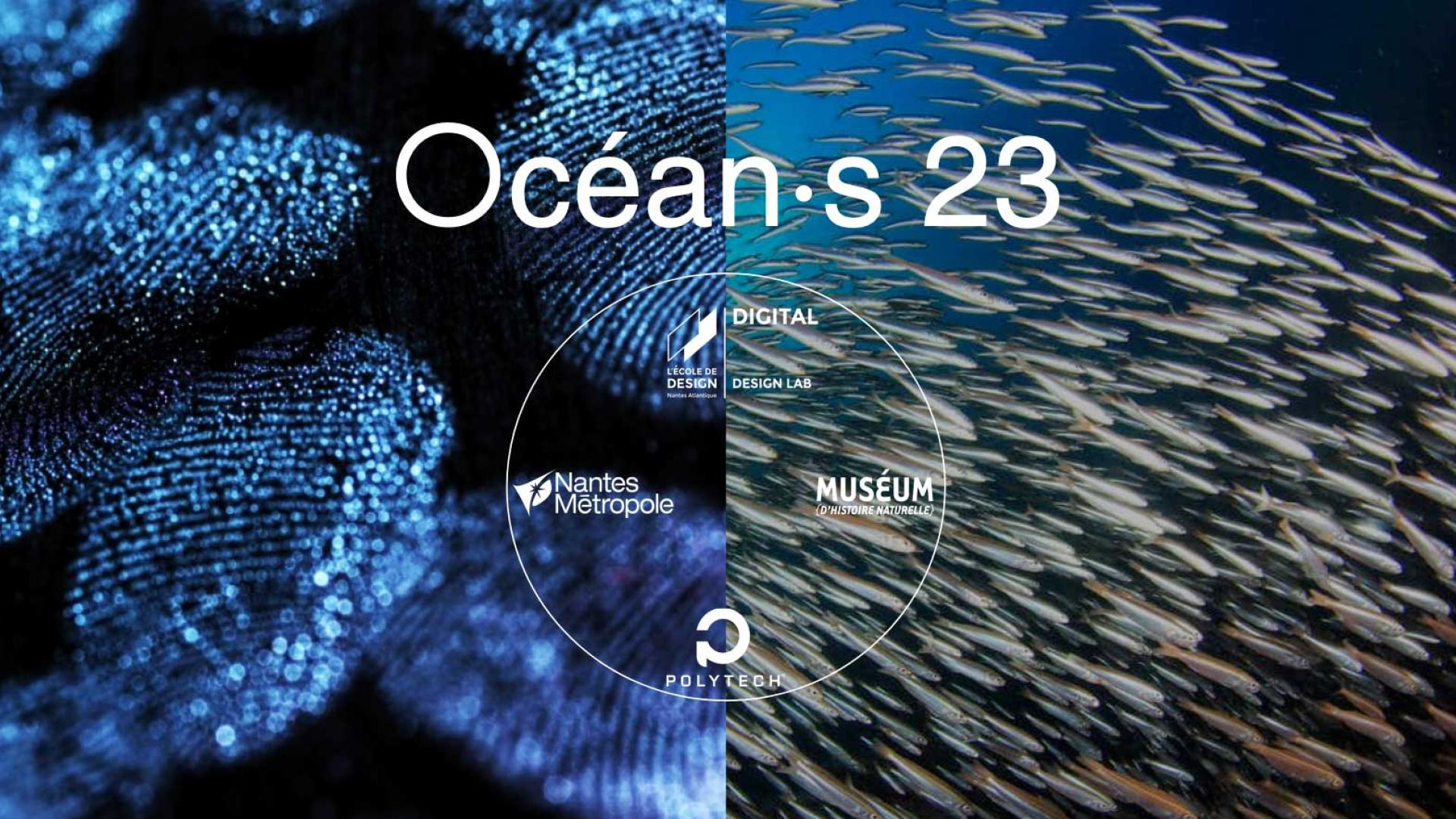 Oceans 23