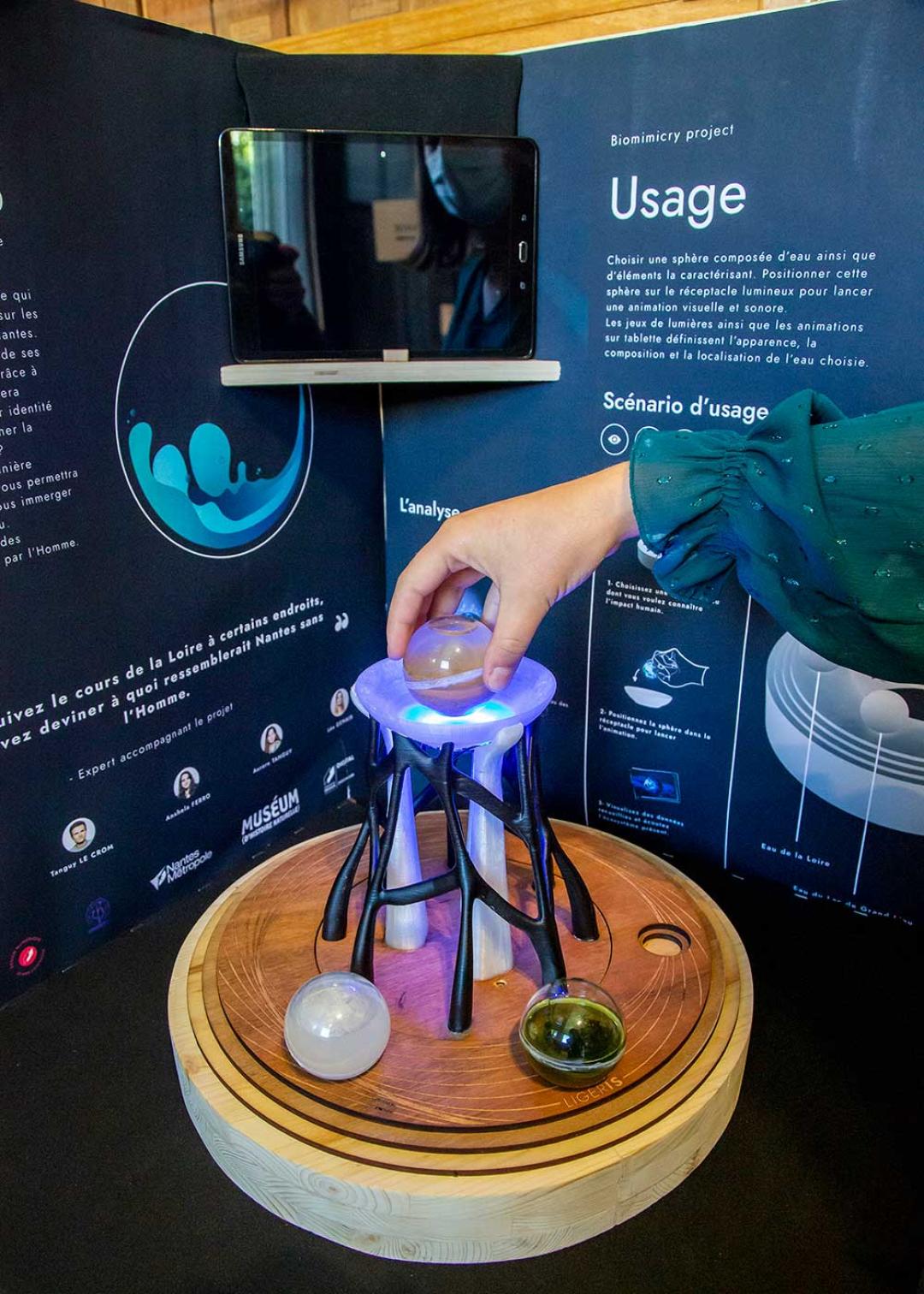 Ligeris projet BiomimiCry exposé au Muséum de Nantes