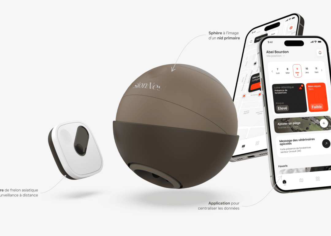 Vision Nest 1